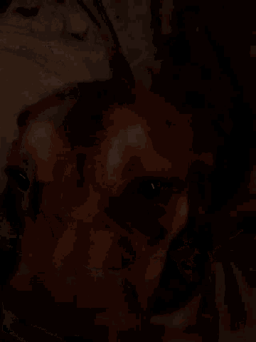 a cat is laying on a person 's chest in a dark room