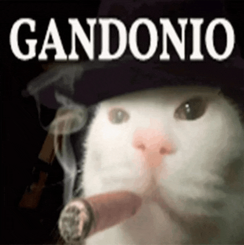 a cat wearing a hat and smoking a cigar with the word gandonio written above it .