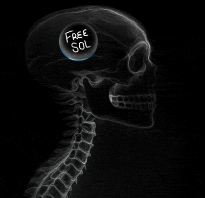 an x-ray of a skull with a free sol sticker