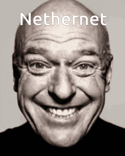 a black and white photo of a smiling bald man with the word nethernet on the top