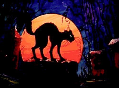 a silhouette of a black cat standing in front of a full moon
