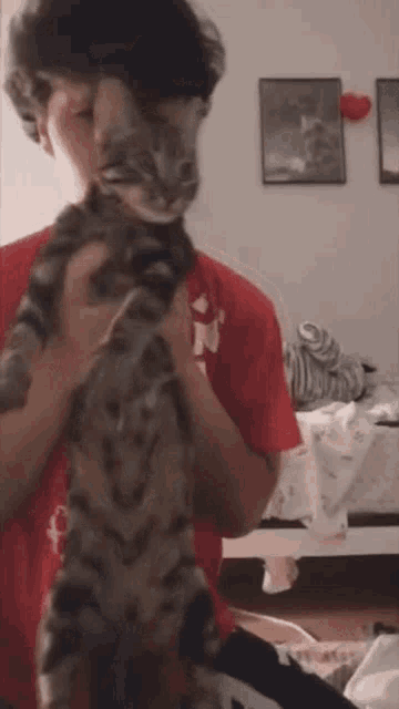 a man is holding a cat in his arms in a room .