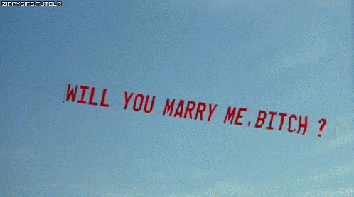 Marryme Bitch GIF - Marryme Bitch Proposal GIFs