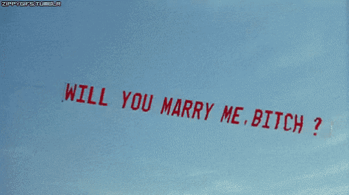 a sign that says " will you marry me bitch " is flying in the sky