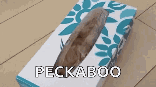 a box of tissues with the words peckaboo on it