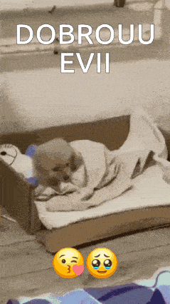 a dog wrapped in a blanket is laying on a bed with the words dobrouu evil written on the bottom