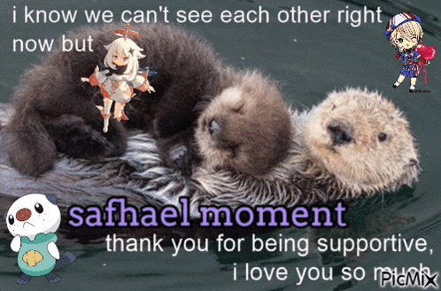 a picture of two otters with the words " i know we can 't see each other right now but "