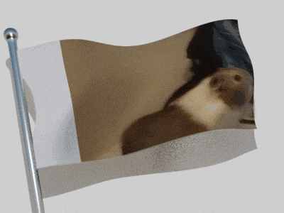 a flag with a picture of an otter on it is waving in the wind