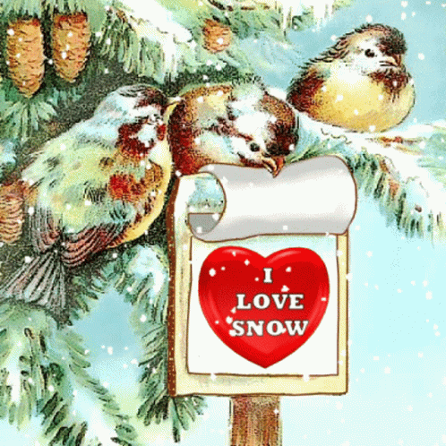 I Love Snow Snow Birds GIF - I Love Snow Snow Birds Let It Snow GIFs