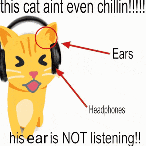 a cartoon drawing of a cat with the words his cat ain 't even chillin '