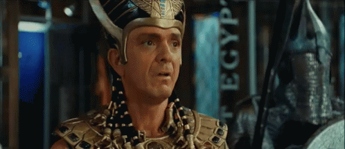 What Now GIF - What Now Night At The Museum GIFs