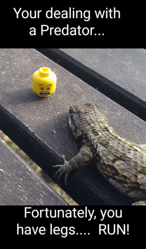 a lizard is laying on a wooden table next to a yellow lego head