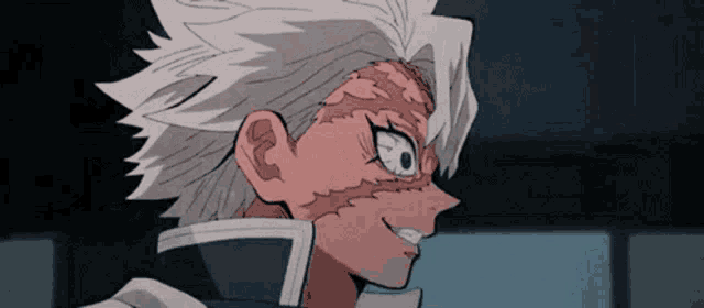 a close up of a person 's face with a gray haired anime character .