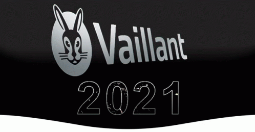 Vaillant 2021 GIF - Vaillant 2021 Nieuwjaar GIFs