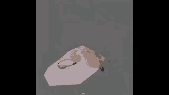 a low poly model of a pigeon standing on a gray surface .