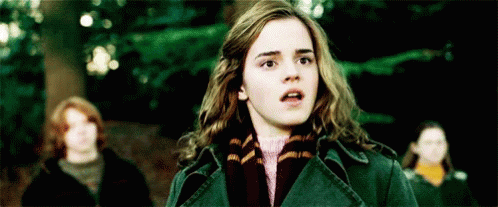 Srsly? GIF - Harry Potter Hermione Emma Watson GIFs