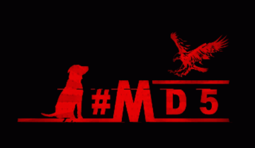 Md5 Logo GIF - Md5 Logo Glitch GIFs
