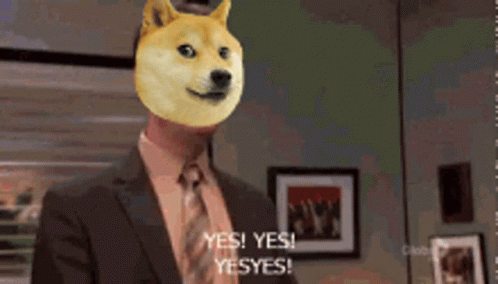 Doge Dogecoin GIF - Doge Dogecoin The Office GIFs