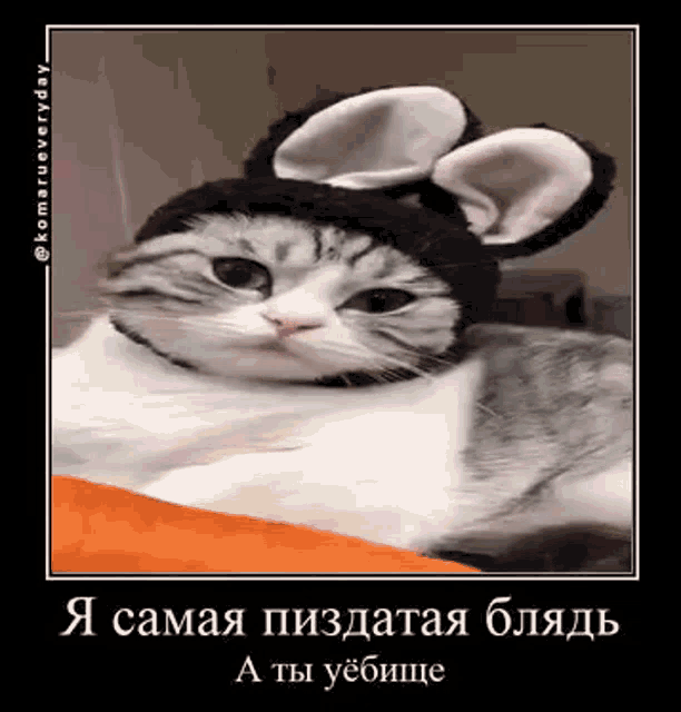 Komaru Cat Cat GIF - Komaru Cat Cat Discord GIFs