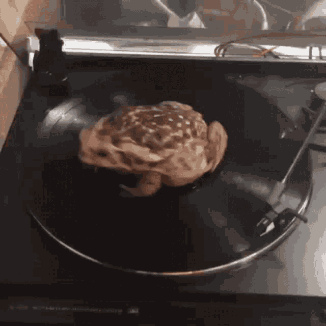 a record player with a chicken on it