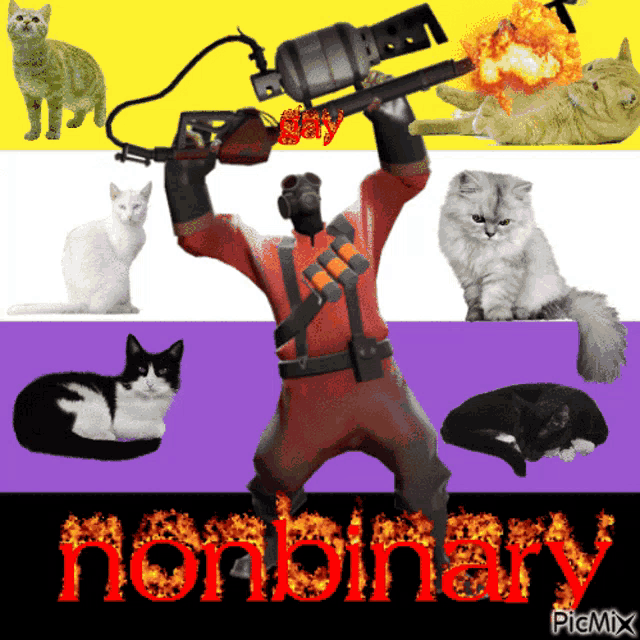 a picture of a man holding a flamethrower surrounded by cats and the words nonbinary