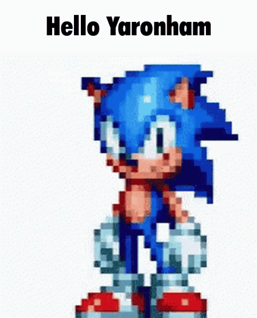 a pixel art of sonic the hedgehog with the words hello yaronham above him