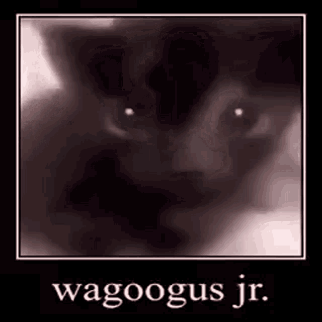 Wagoogus Jr GIF - Wagoogus Jr GIFs