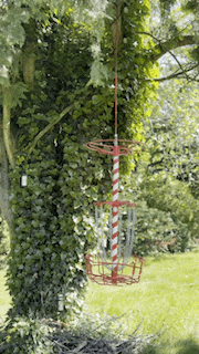 a red and white frisbee golf basket hangs from a tree