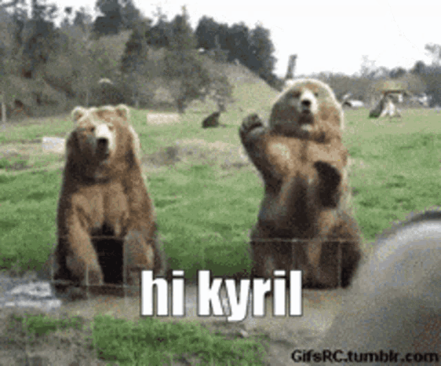 two bears are standing in a field and one bear says hi kyriel