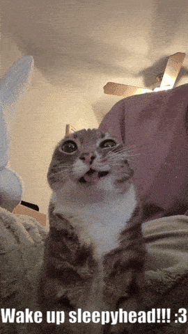 a cat with its tongue out and the words wake up sleepyhead !!!