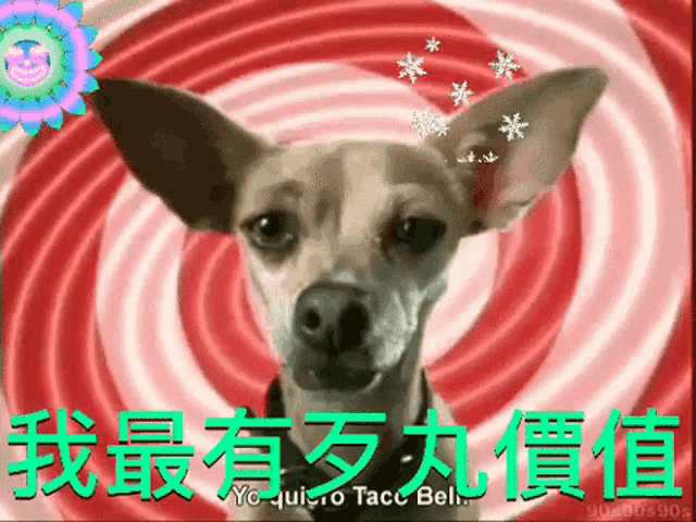 a picture of a dog with chinese writing on the bottom