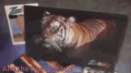 Tiger Poster Fast GIF - Tiger Poster Fast Zoobooks GIFs