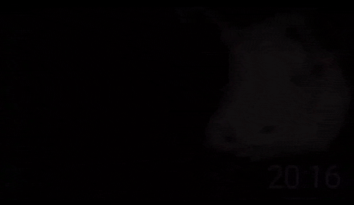 a picture of a pig with the time of 20:16 on the bottom