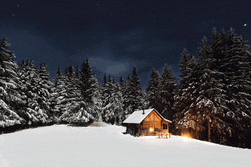 a cabin in the middle of a snowy forest