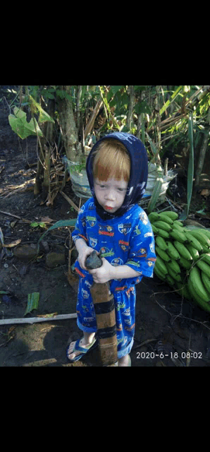 a little boy wearing a blue shirt with cars on it is standing in front of a bunch of bananas
