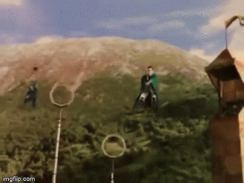 Passe Quadribol Quidditch GIF - Passe Quadribol Quidditch Harry Potter GIFs