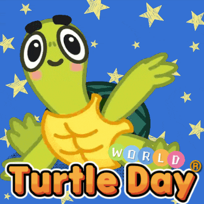 a picture of a turtle that says turtle day