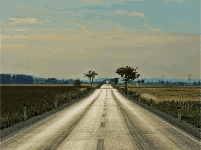 a road with trees on both sides of it