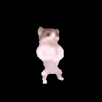 a pixelated cat is dancing on its hind legs