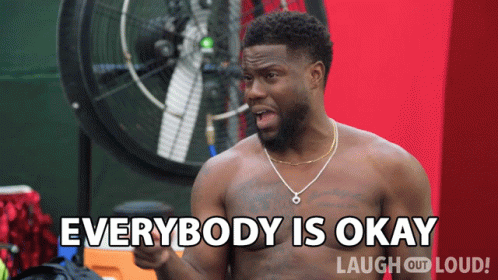 Everybody Is Okay Kevin Hart GIF - Everybody Is Okay Kevin Hart Cold As Balls GIFs