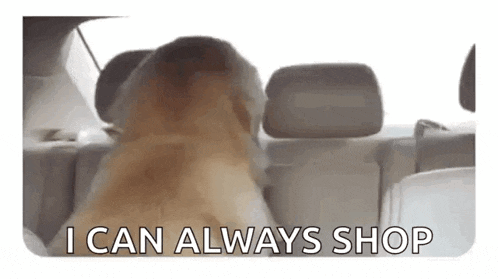 a dog is sitting in the back seat of a car with the words `` i can always shop '' .
