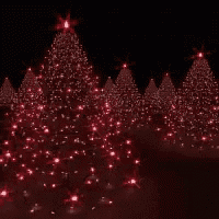 a row of red christmas trees with red lights