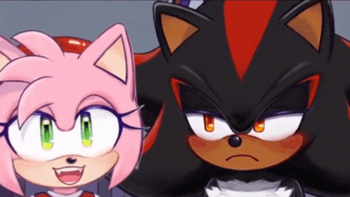 shadow the hedgehog and amy rose from sonic the hedgehog are standing next to each other and looking at the camera .