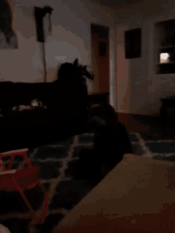 a dark living room with a rug and a couch