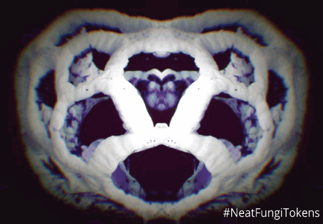 a purple and white image with the hashtag neatfungitokens on the bottom