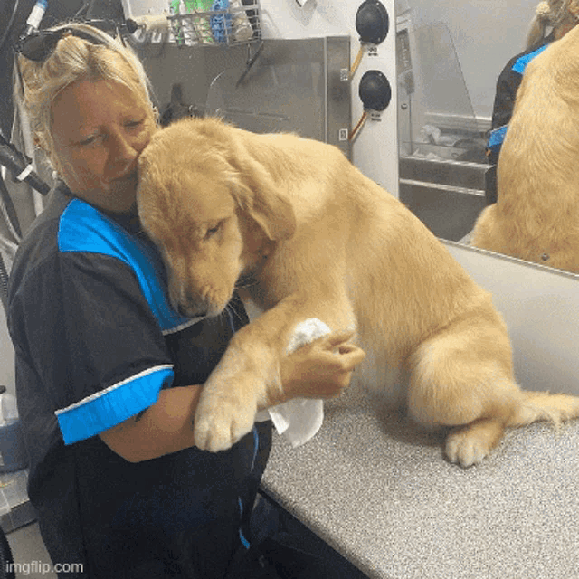 a woman wipes a dog 's paw with a towel in front of a mirror ..