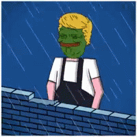 Pepe Meme GIF - Pepe Meme Trump GIFs