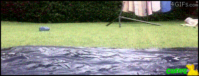 a 4gifs.com animated image of a person playing in a pool