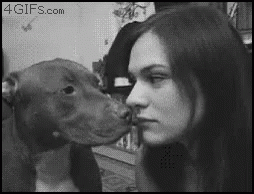 Lick Dog GIF - Lick Dog Girl GIFs