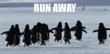Run Away GIF - Run Away Penguins GIFs